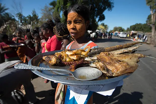 A small-scale fish vendor sells fried fish on the road to Tulear