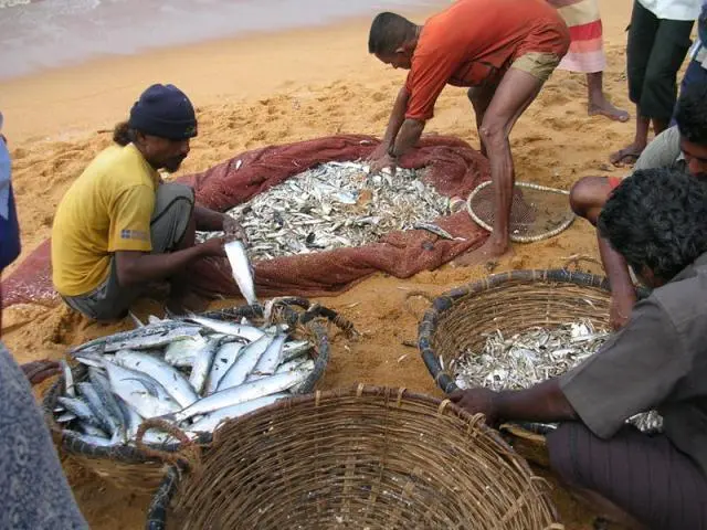 Ice plants are a critical need for Sri Lanka to develop its fishing industry.