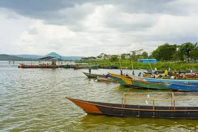 Fishing boats on Lake Victoria, Uganda.