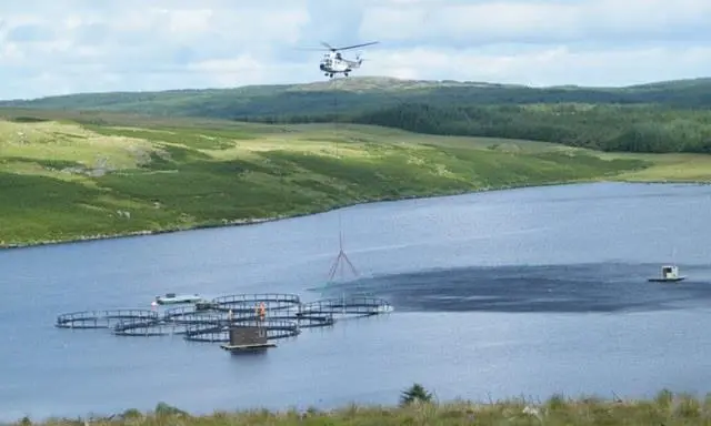 Logistics headache: The chartered Super Puma AS332C helicopter delivered the consignment of 2.7-tonne pens to Loch Garasdale in around four hours.