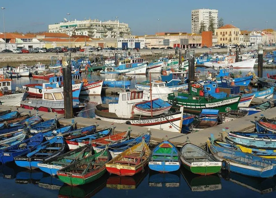 Consumers need to be reassured that buying wild-caught fish is not environmentally wrong. Credit: OsvaldoGago
