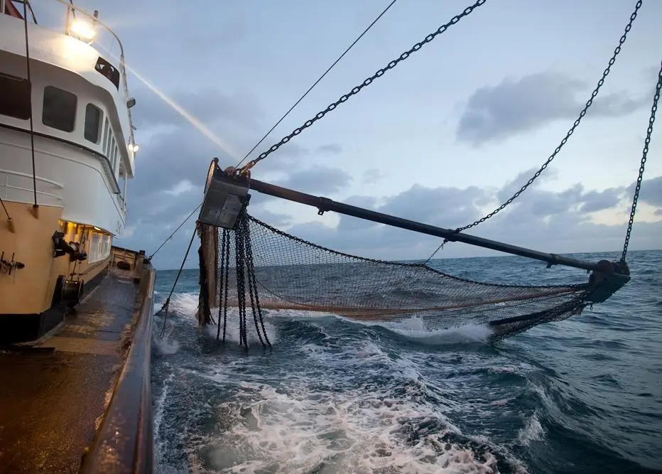 European Fish Week runs from 4-12 June 2011