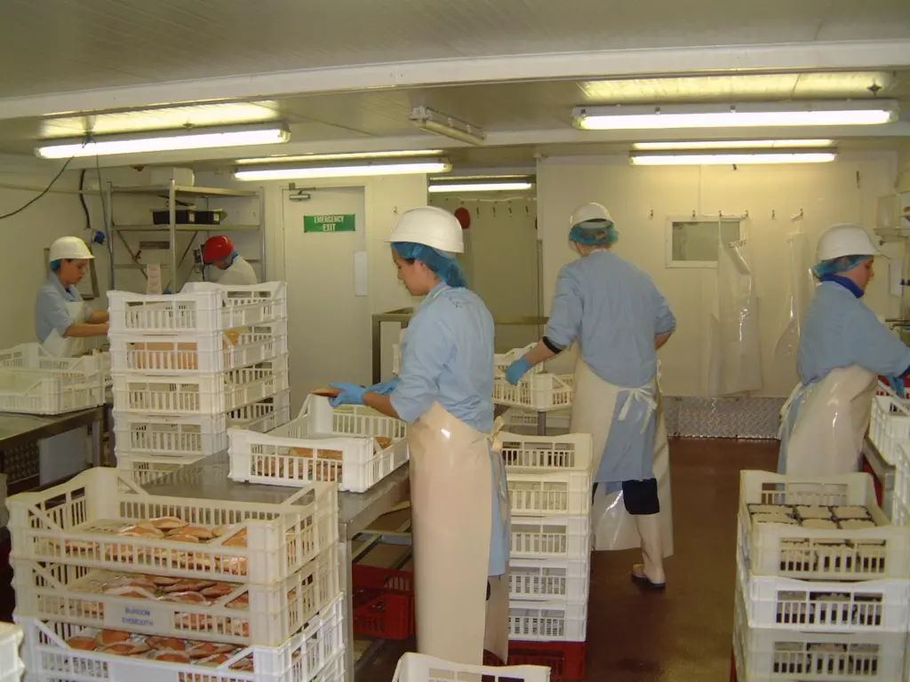 Crab products being produced in the Burgons factory in Eyemouth. The company produces 25 different products for retail, foodservice and for value added processing. Fifty per cent of the products are exported to continental European countries.