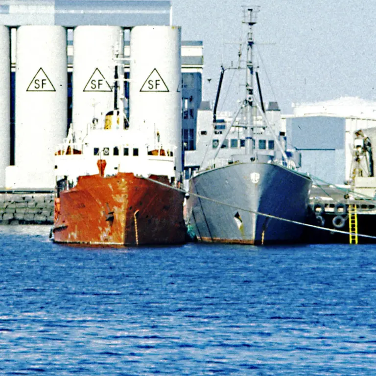 Navy gray <I>Þór</i> (Thor): not on the warpath but tied to the ‘peacepath’. Rare WF ‘catch’ on camera, Reykjavik harbour, 1980s © TW : EEC Photos