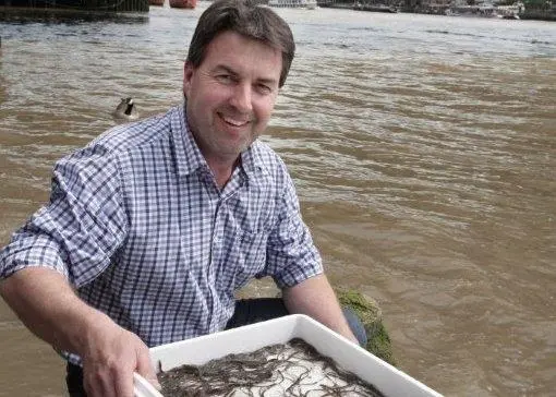 Richard Cook, MD Severn & Wye Smokery, releasing glass eels into the Thames