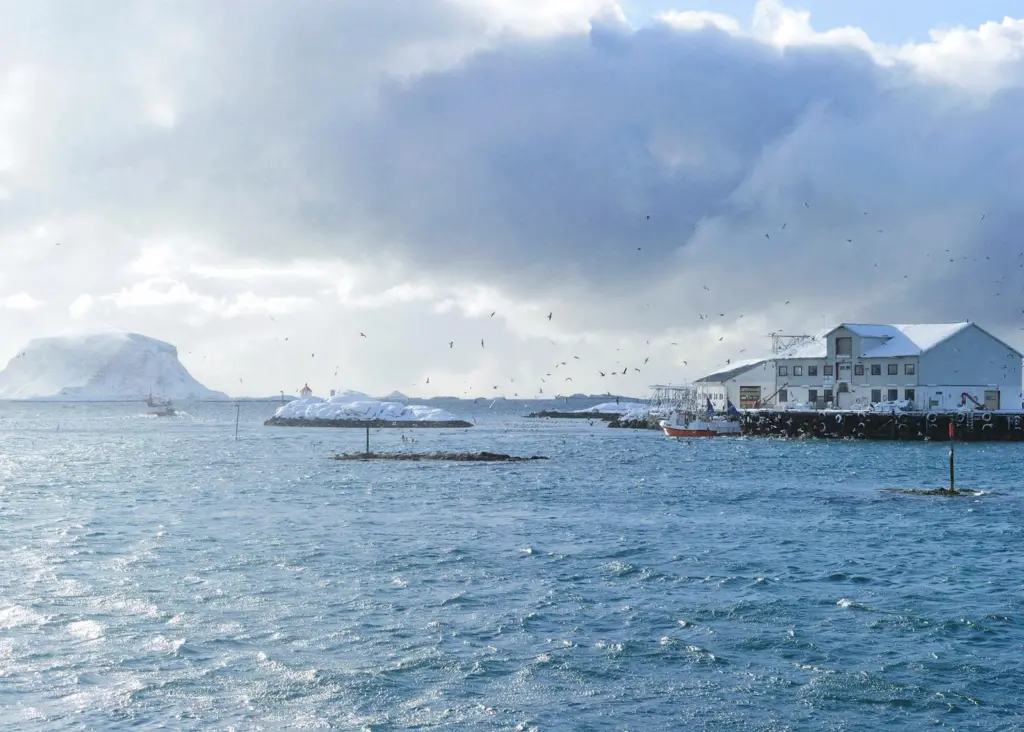 In 2011, Norwegian seafood exports totalled NOK 53 billion. Røst Johan Wildhagen © Sjømatrådet