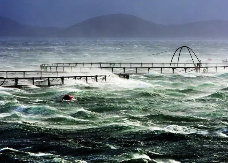 Russian Sea-Aquaculture LLC has ordered an AKVA Cage Farm © AKVA Group 2010
