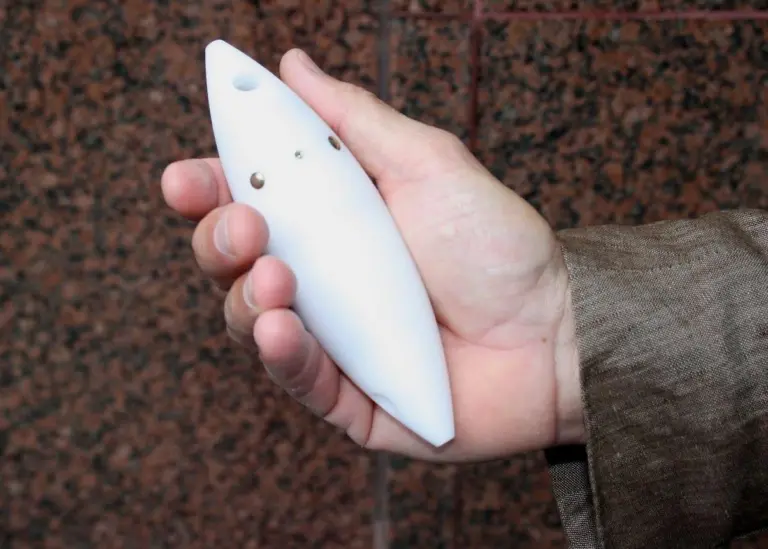 The dolphin pinger