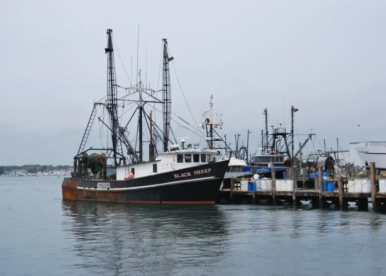 Mr Abbott was fined US$6,000 for violating the 'Fisheries Act'