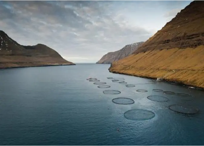 The bill will restrict the level of foreign ownership of Faroese fish-farming companies to a maximum of 30%