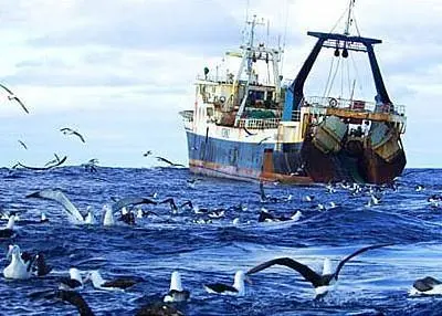 UNEP says overfishing has destroyed some of the world's most fishing regions