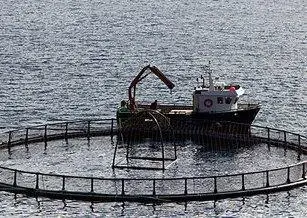 The project aims to map and analyse decision-making processes connected to the planning and allocation of areas for aquaculture. Photo: Frank Gregersen, © Nofima