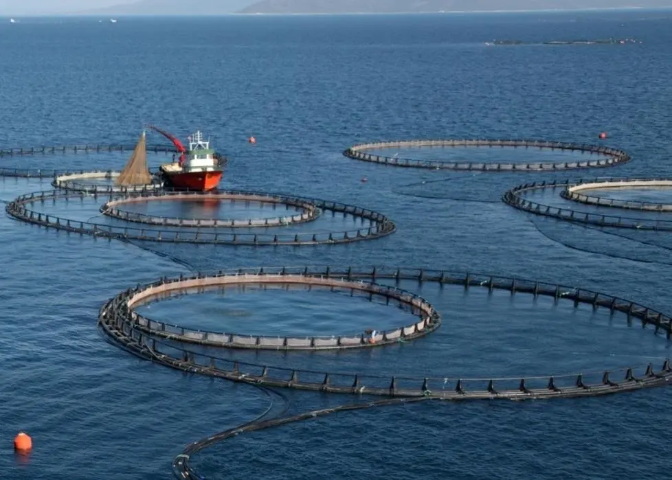The project will investigate how waste from the aquaculture and agriculture industries can best be used to create renewable energy