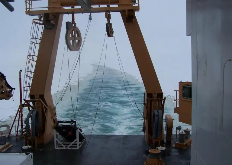 In depth NOAA fisheries science and management programme has led to the recovery of some major fisheries in the US. Picture courtesy of NOAA