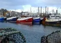 Industry has voiced concerns over the implementation of the new fisheries fund