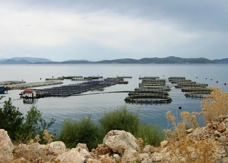 A fish farm in western Greece. Credit: AlMare/CC BY-SA 2.5