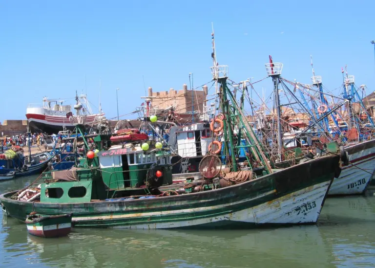 Essaouira fishing port, Morocco. Credit: Daniel*D/CC-BY-SA-3.0-2.5-2.0-1.0, via Wikimedia Commons