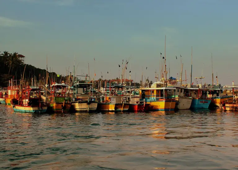 Sri Lankan fishing vessels. Credit: calflier001/CC BY-SA 2.0, via Wikimedia Commons