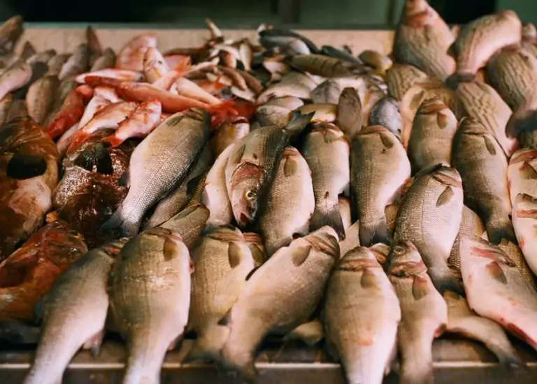 The World Bank grant will fund the work of ocean partnerships in promoting sustainable fisheries and marine biodiversity conservation. Credit: Gregg_TLV/CC BY 2.0, via Wikimedia Commons