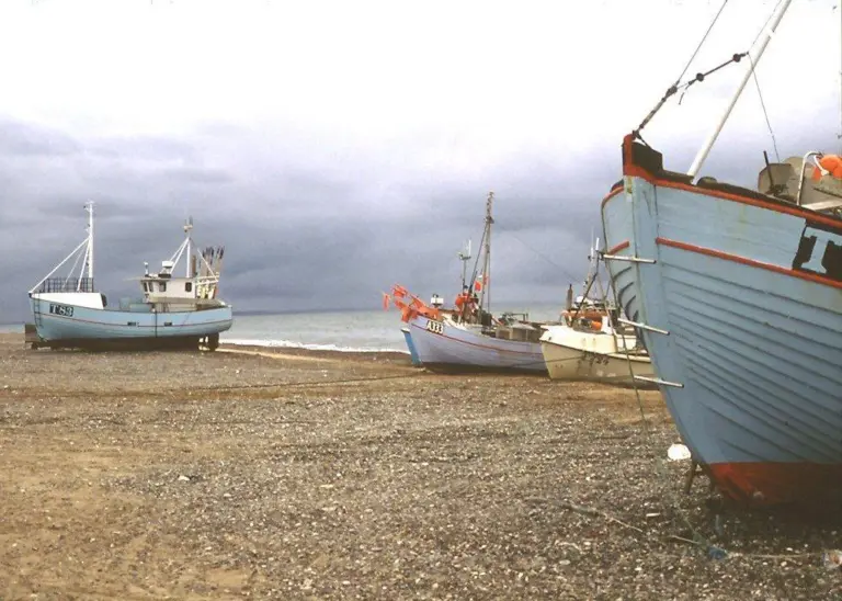 The Danish fishing industry is run effectively and efficiently