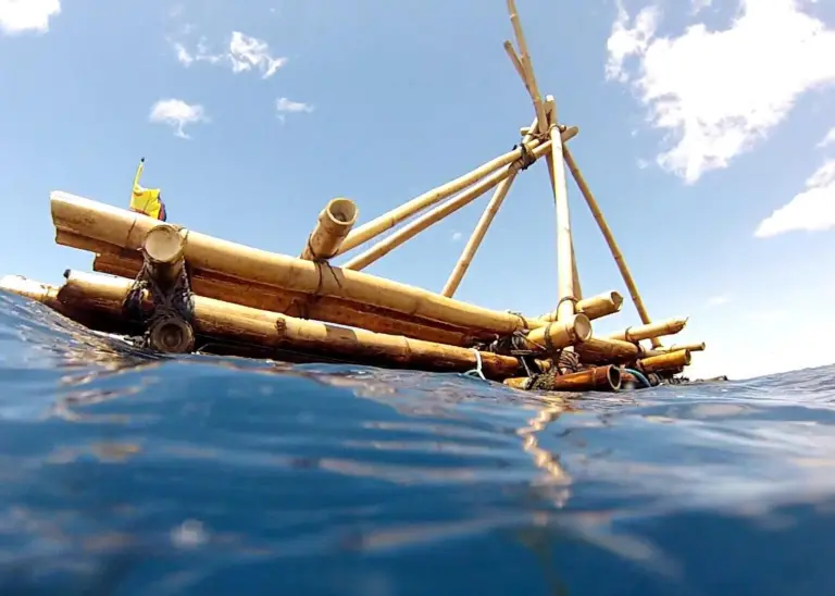 FADs typically consist of bamboo rafts with buoys attached