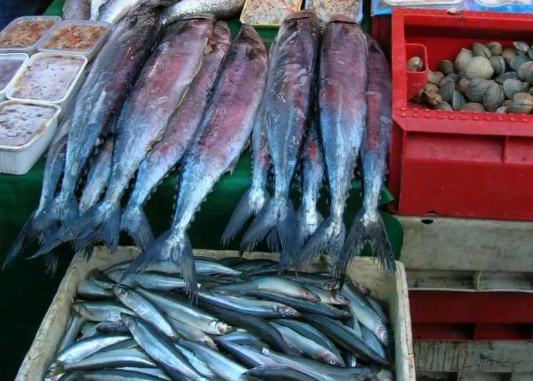 The study predicts that declining fish stocks could have serious health consequences. Credit: Marisa Garrido