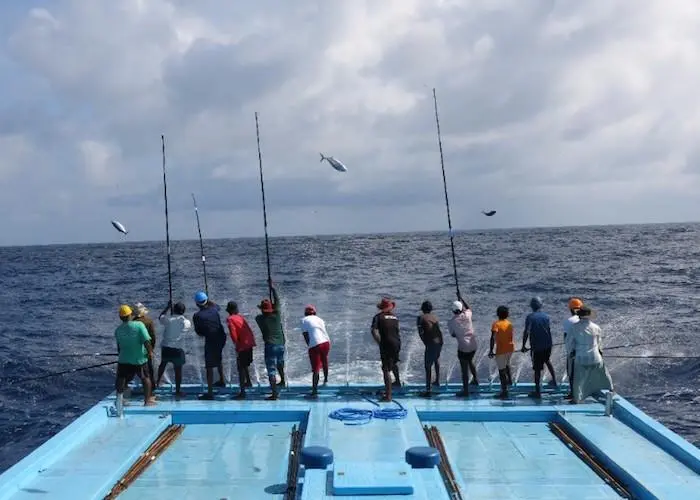 Ensis Fisheries PVT Ltd and Maldives Quality Seafood PVT Ltd have joined the International Pole & Line Foundation IPNLF