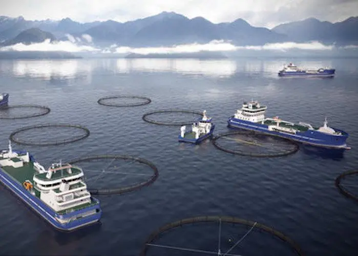 Salt has been working closely with DESS Aquaculture and Marine Harvest on the design for the new vessels