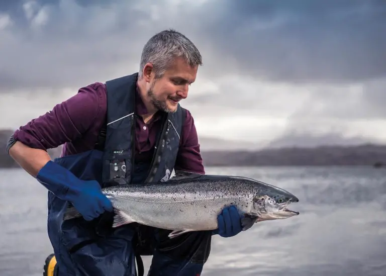 Loch Duart salmon