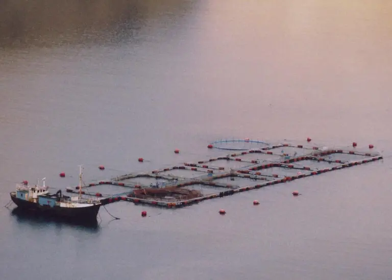 The research from the University of Maine reveals that many Americans know very little about the US aquaculture industry stalling its growth