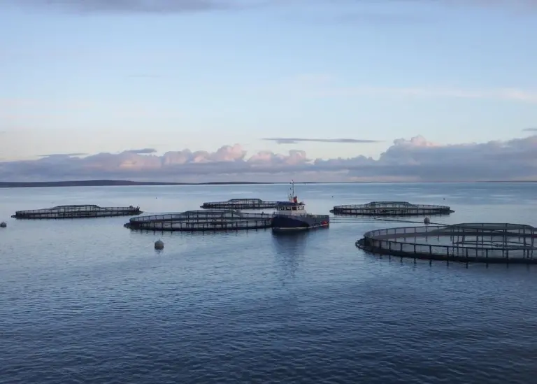 Gael Force group and Fusion Marine to join forces