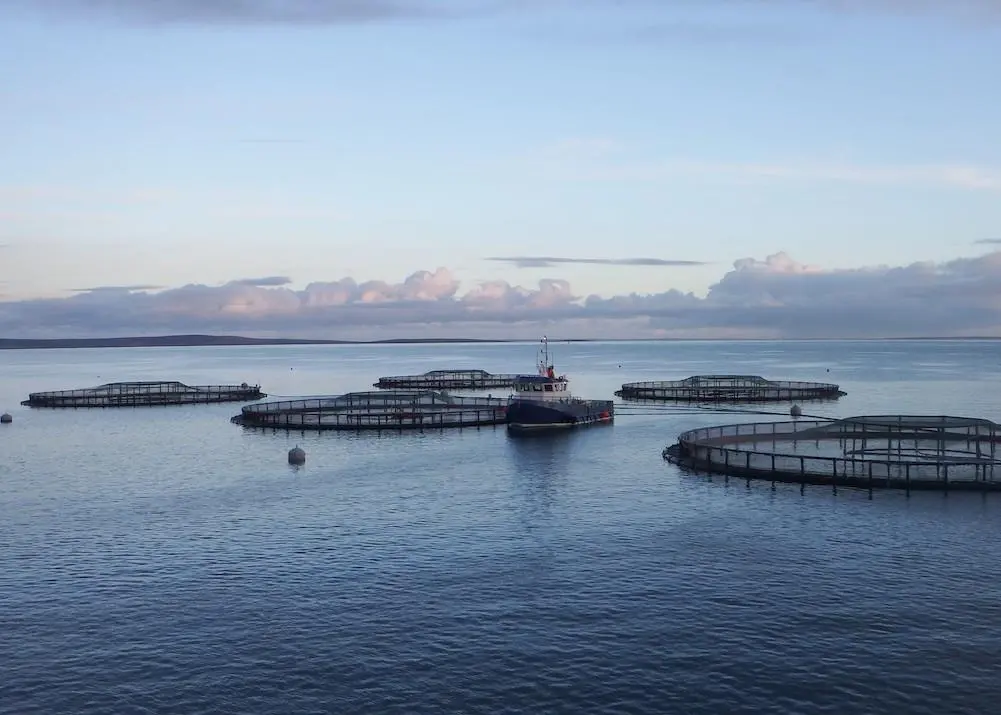Gael Force group and Fusion Marine to join forces