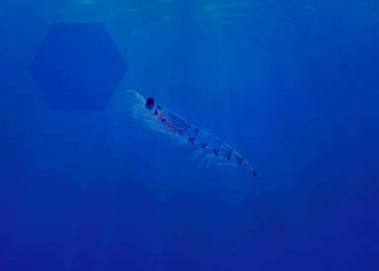 Aker BioMarine krill confirmed sustainable