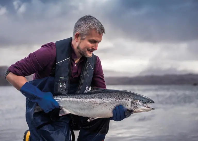 Loch Duart salmon