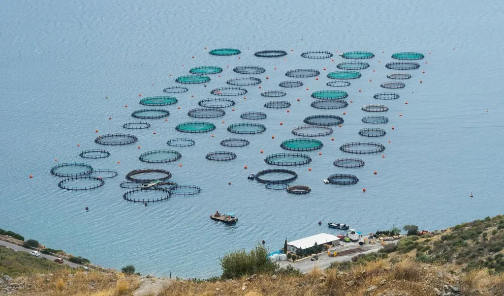 00_66717_Fish_farm_Amarynthos_Euboea_Greece