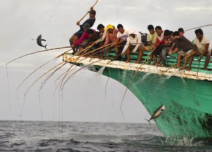 Tuna fishing