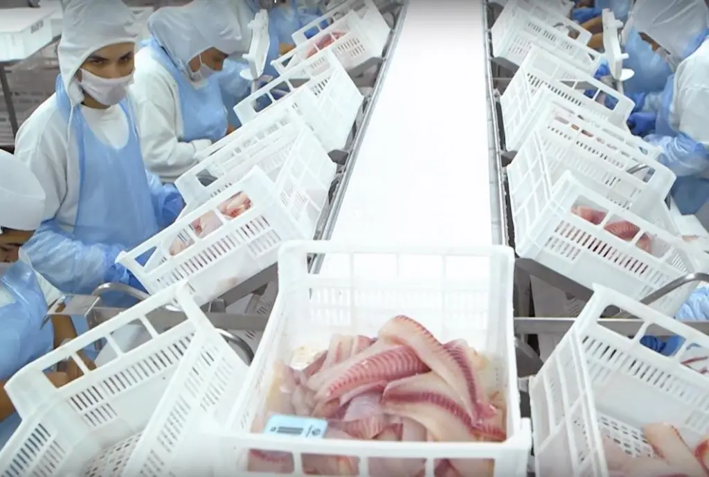Norwegian and Brazilian aquaculture companies establish technological co-operation