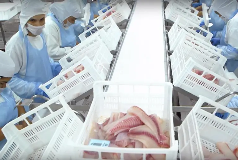Norwegian and Brazilian aquaculture companies establish technological co-operation