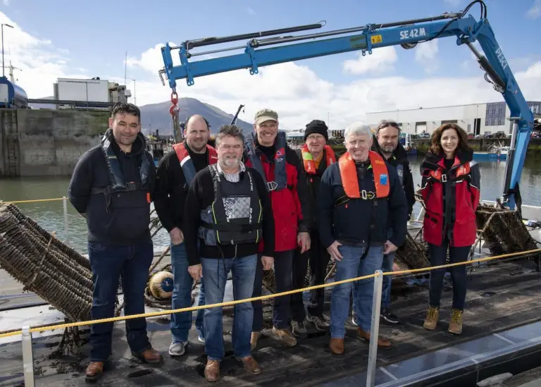 A new forum has been established to help restore Ireland's native oyster Photo: BIM