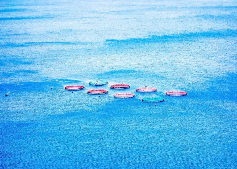 Hatch has assembled an advisory board for the first ever aquaculture seed fund Photo: Hatch
