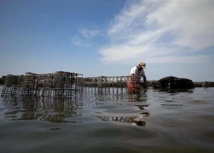 Sea Grant has announced federal funding of US$16m to support the aquaculture industry Photo: Sea Grant