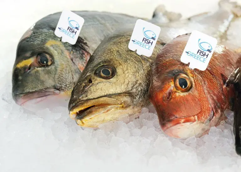 HAPO is promoting 'Fish from Greece' Photo: HAPO