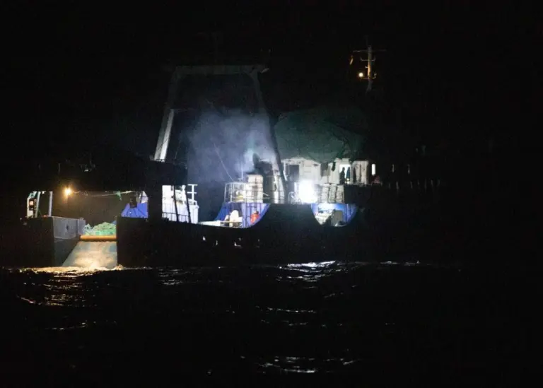 The majority of vessels fishing in Ghanaian waters are controlled by Chinese owners, according to the EJF Credit: EJF