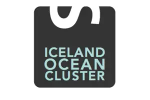The Iceland Ocean Cluster