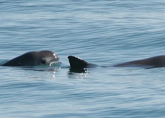 The MxSC is committed to sustainable fishing methods Photo: NOAA Fisheries