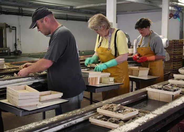 Insurance broker Gallagher has launched a new aquaculture team Photo: Gallagher