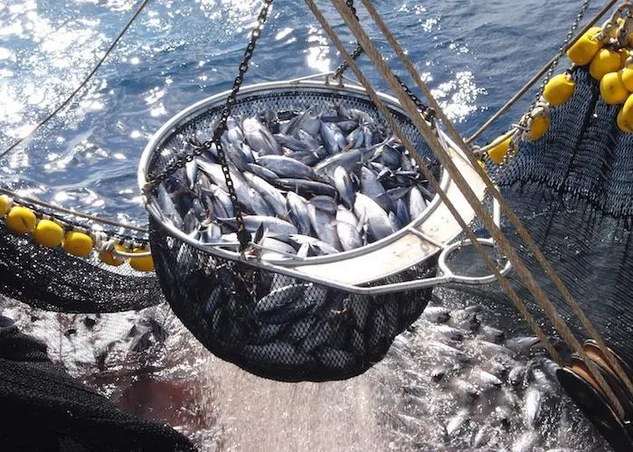 Consumers value sustainability more than price Photo: OPAGAC