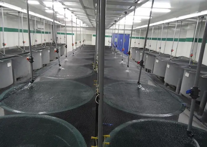 cubicles