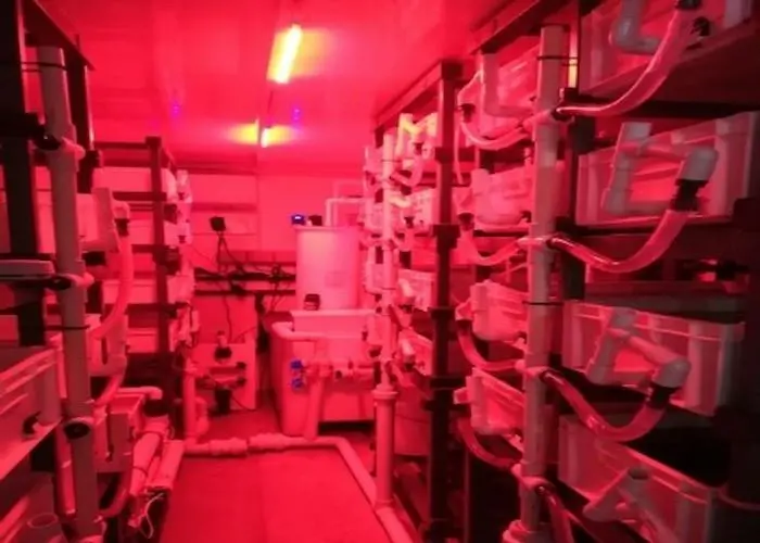 Orkney Shellfish Hatchery