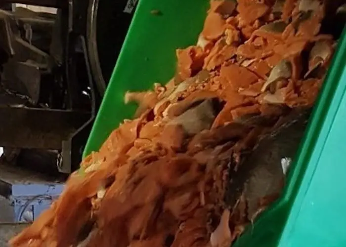 Waste being fed to the Landia pasteuriser Photo: SSC